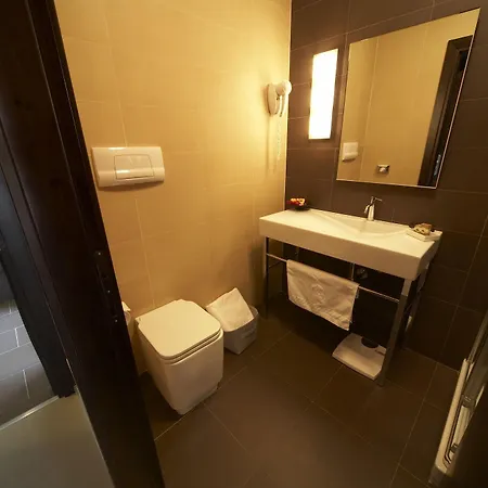 Hotel Montini Linate Airport 3*