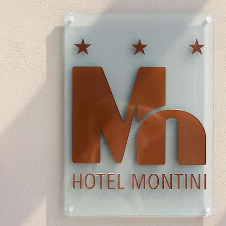 Montini Linate Airport